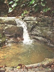 Yoga retreat waterfall