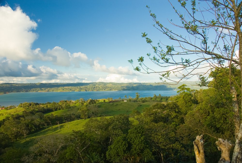 Farm Land for Sale in Costa Rica Farm Land for Sale in Costa Rica