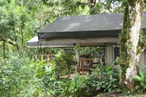 Tropical River Lodge