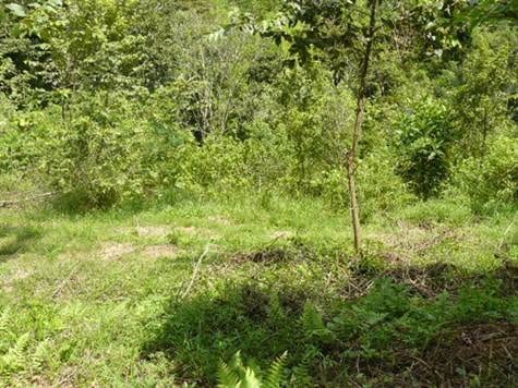 5 ACRES - Multiple Building Sites With River Winding Through And Easy Access To 80 Ft Waterfall!!!