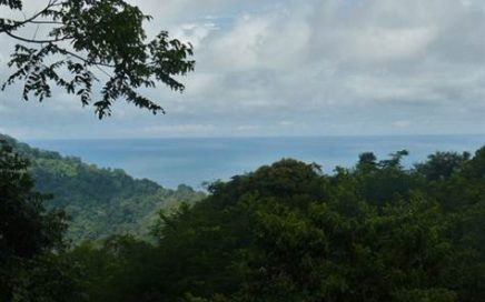 7.5 ACRES – Stunning Ocean View Property w/ Numerous Buildable Areas Nestled in the Jungle!!