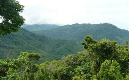 6 ACRES – Breathtaking 360 Degree Mountain, Jungle And River Views With Multiple Building Sites !!