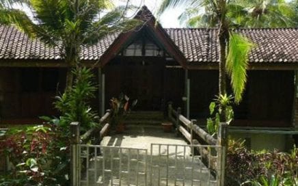 10.5 ACRES – 3 Bedroom Ocean View Home w/ Guest House, Caretaker House, Workshop, Pasture + Jungle!