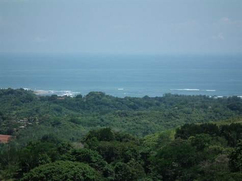 91ACRES - Amazing Development Property With Huge Ocean Views And Large River In The Heart Of Ojochal