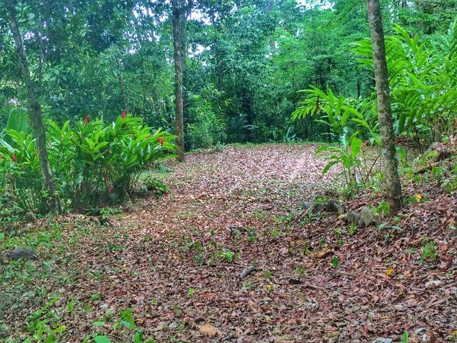 1.2 ACRES - Jungle Lot With Nature Gardens,Seasonal Creeks Running Through In A Gated Community!!