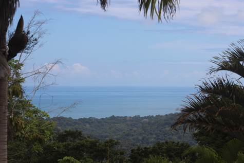 19.7 ACRES - 3 Bedroom Ocean View Home With Pool Plus Horse Stables And Pasture!!