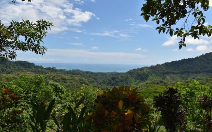 33.23 ACRES – 2 Bedroom Home Four Building Sites Total With Ocean Views!!!