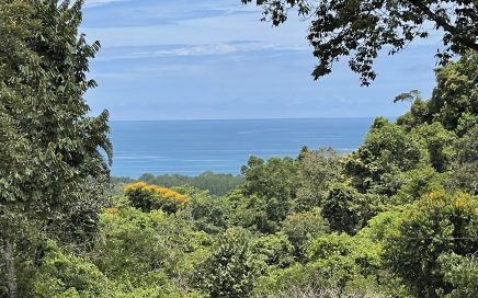 3.95 ACRES – Ocean View Lot With A large Building Area, Creek, Legal Water, Great Price!!!!
