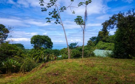 0.71 ACRES – Ocean View Lot With Legal Water Only 5 Min Drive To Playa Hermosa!!!