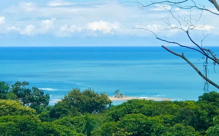 14.34 ACRES – Amazing Ocean View Estate Property With Room For Multiple Homes, Acres Of Rainforest, And A Creek!!!!
