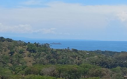 2.5 ACRES – Amazing Whales Tail Ocean View Property With Multiple Building Sites!!!