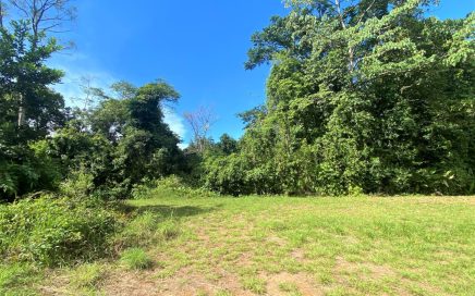 2.65 ACRES – Beautiful Mountain View Property Surrounded By Rainforest In gated Community!!!!