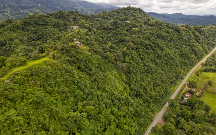 1.75 ACRES – Ocean View Property With Jungle And Mature Fruit Trees!!!