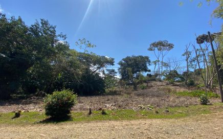 2.06 ACRES – Lot With Plantel Ready To Build In Excellent Location Only 3min From Downtown Uvita And 250 Meters From The Main Road!!!