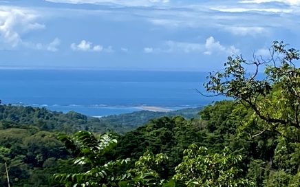 45 ACRES – Amazing Acreage With Jungle, Rivers, Ocean View, 25 Min From Downtown Uvita!!!