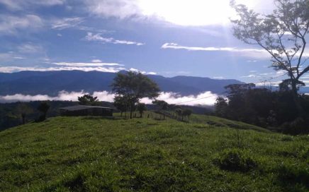 36.6 ACRES – Farm Land With Some Jungle And Amazing Mountain Views Near San Isidro!!!