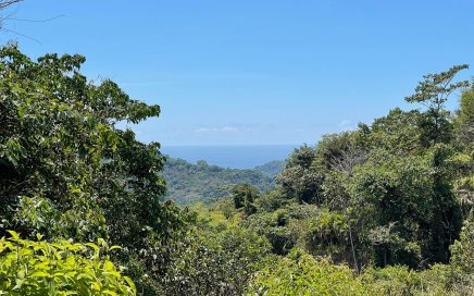 2.48 ACRES – Ocean View Property At End Of The Road, Multiple Building Sites, All Year Creek!!!