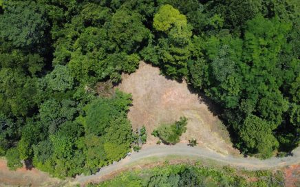 2.7 ACRES – Affordable Property With Building Site And Rainforest With All Year Creek!!!