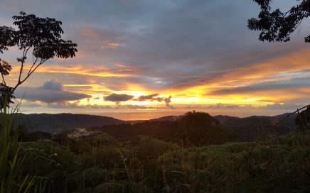 113 ACRES – Amazing Sustainable Farm With Jungle, Pasture, Many Building Sites, Ocean Views, Rivers, Springs, Waterfalls!!!!