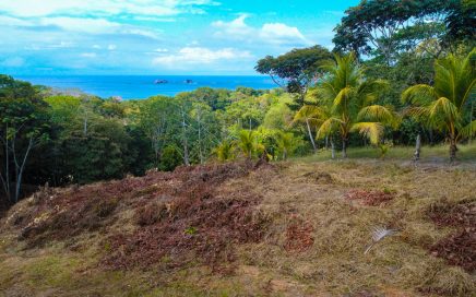 14.6 ACRES – Ocean View Development Property With Highway Frontage!!!