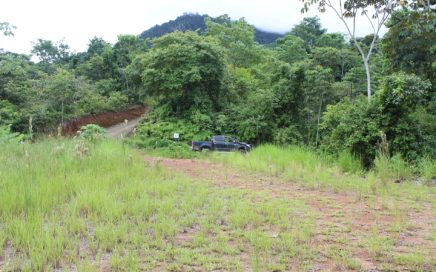 2.26 ACRES – Affordable Ocean View Property With Jungle And Creek!!!