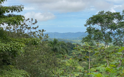2.9 ACRES – Tons of Fruit Trees, 3 Bedroom Tico Home Plus Bodega, Lots Of Usable Land, Legal Water Plus Spring, Electricity, Fiber Optics, Public Road, Slight Ocean View At The Top Of The Property!!!