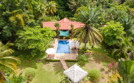1.3 ACRES – 2 Bedroom Ocean View Home With Pool, Views Of Terraba River Mouth And Cano Island!!!