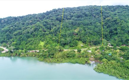 84 ACRES – Amazing Property With Epic Views Of The Golfo Dulce And Multiple Building Sites!!!!