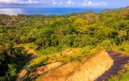 1.26 ACRES – Ocean View Property Near Playa Hermosa Surrounded By Rainforest!!!!