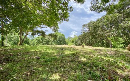 3.7 ACRES – Beautiful Property Just Steps Off The Paved Road, 15 Minutes To Dominical!!!