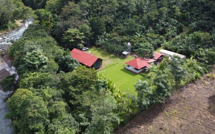 6.5 ACRES – Coffee Farm Plus Many Fruit Trees, River, Multiple Structures, 15 Min From San Isidro!!!