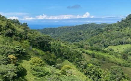 25 ACRES – Absolutely Exceptional Property W/ Stunning Ocean & Mountain Views!!!
