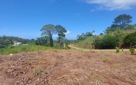 1.3 ACRES – Ocean And Mountain View Lot With Flat Usable Land!!!
