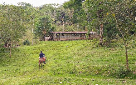 598 ACRES – Amazing Farm With Mix Of Open Pasture And Jungle With Rivers And Waterfalls!!!!