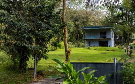 0.28 ACRES – 3 Bedroom Brand New Home With Pool In Central Uvita Location!!!!