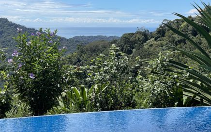 5.2 ACRES – 2 Bedroom Home With 60 Ft Infinity Lap Pool, 1 Bedroom Guest House, Fabulous Ocean View, Mature Fruit Trees!!!