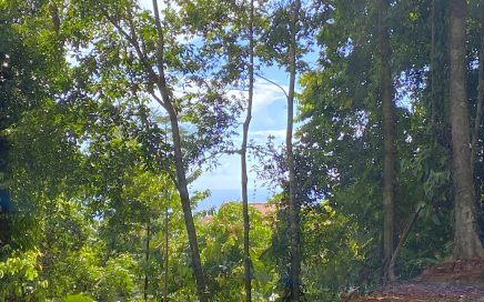 2.12 ACRES – Beautiful Wooded Property With Private Ocean View Building Site, Legal Water And Power!!!!