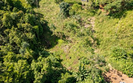 0.49 ACRES – Beautiful Mountain And Jungle View Lot Located In A Gated Community!!!