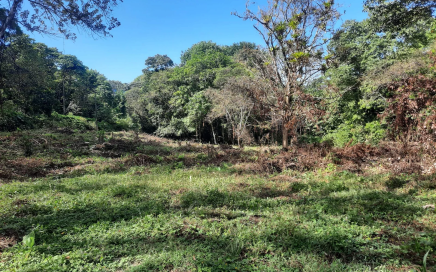 3.55 ACRES – Great Investment Property With Legal Water, Easy Access, Close To All The Amenities!!!!