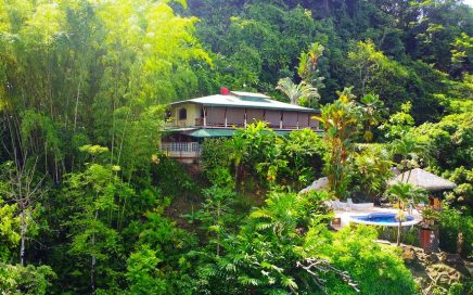 4.5 ACRES – 3 Bedroom Ocean And Jungle View Home, Pool, And Access to a Secluded Waterfall!!!!