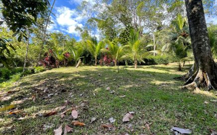 2.2 ACRES – Jungle View Land With At Least 3 Building Sites, With Water, Electricity, And Internet!!!!