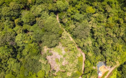 4.26 ACRES – Development Property Perfect For Cabins Or Estate Home!!!