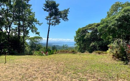 16.57 ACRES – Gorgeous Ocean View Property With Multiple Building Sites, Easy Access All Year-Round!!!