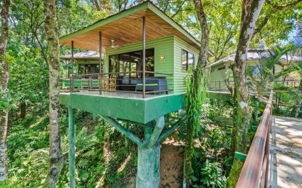 1.35 ACRES – 6 Beautiful Tree House Villas Plus Owner Home With Breathtaking Views And Pool!!!!