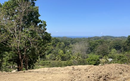 1.2 ACRES – Big Ocean View Lot With Legal Water, Internet & Easy Access in Ojochal!!!