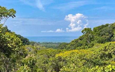 181 ACRES – Impressive Nature’s Sanctuary Property With Majestic Ocean And Mountain Views!!!!