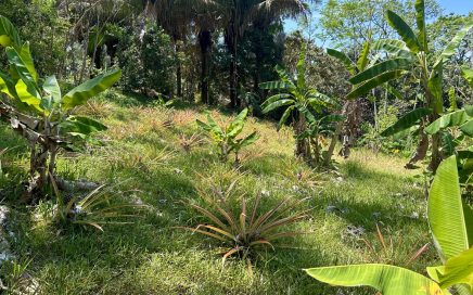 1.67 ACRES – Great Location Land With 4 Building Sites, Close To Uvita Downtown!!!!