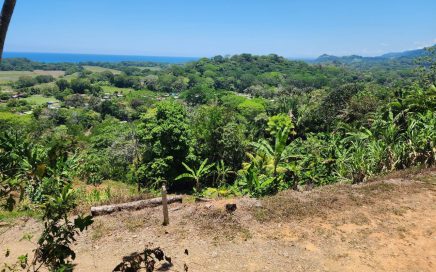 2.5 ACRES – Beautiful Lot With Ocean and Mountain View, Close To All The Amenities And Easy Access!!!