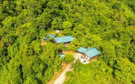 62 ACRES – 16 Bedroom Retreat Center, With River, And Waterfalls, Yoga Deck, Natural Swimming Pool!!!