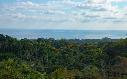 10 ACRES – Rare Ocean View Development Or Estate Property In Uvita – With Waterfall!!!